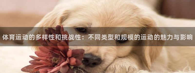 z66体育能提现吗：体育运动的多样性和挑战性：不同类型和规模的运动的魅力与影响