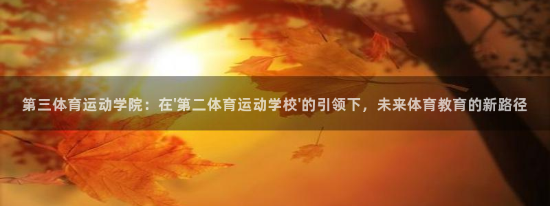 z66体育平台：第三体育运动学院：在\'第二体育运动学校\'的引领下，未来体育教育的新路径