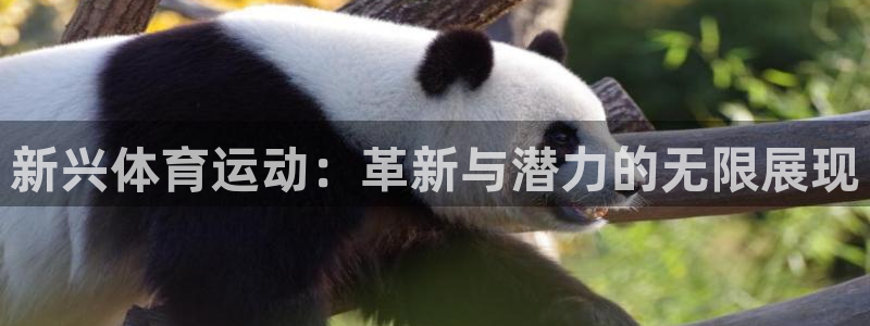 66体育app官方下载：新兴体育运动：革新与潜力的无限展现