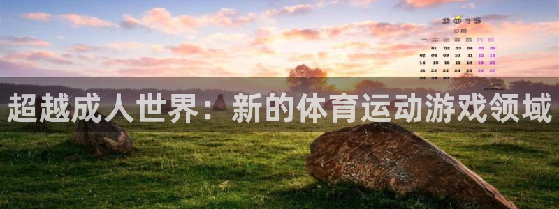 z66体育全站APP下载：超越成人世界：新的体育运动游戏领域