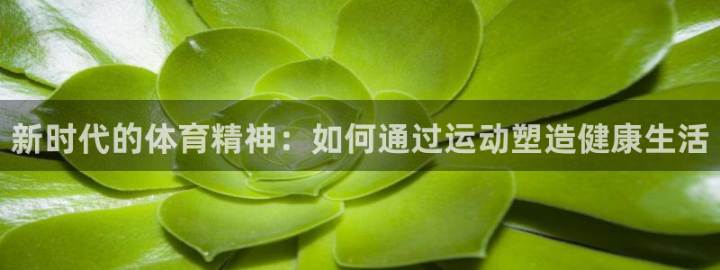 v66体育平台骗了多少人：新时代的体育精神：如何通过运动塑造健康生活