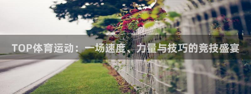v66体育：TOP体育运动：一场速度、力量与技巧的竞技盛宴