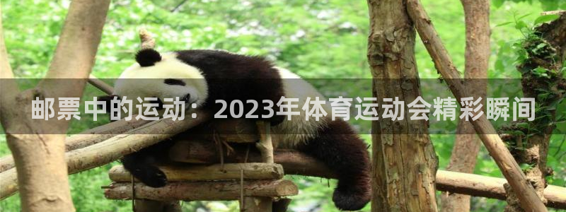 v66体育平台骗了多少人：邮票中的运动：2023年体育运动会精彩瞬间