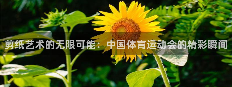 z66体育是怎么回事：剪纸艺术的无限可能：中国体育运动会的精彩瞬间