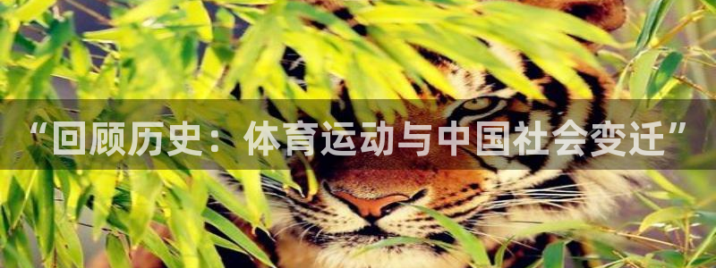 z66体育APP现在：“回顾历史：体育运动与中国社会变迁”