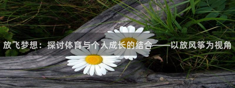 66体育网：放飞梦想：探讨体育与个人成长的结合——以放风筝为视角